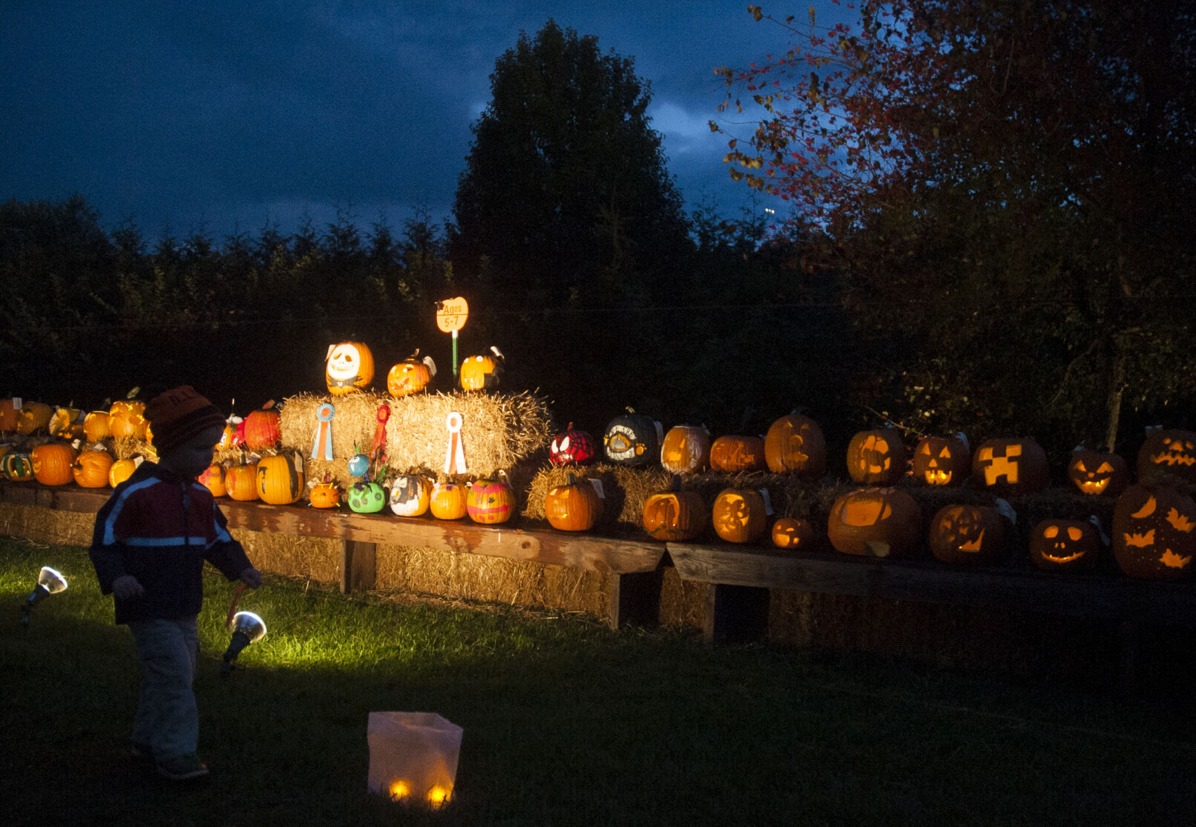 Arboretum Pumpkin Festival